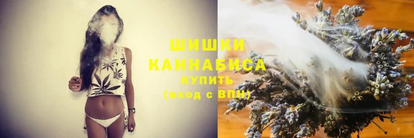 бошки Мегион