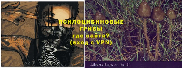 крисы Медвежьегорск