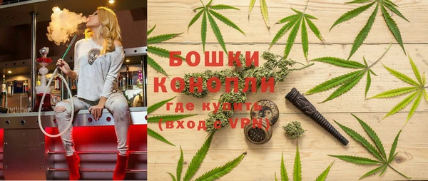 бошки Мегион