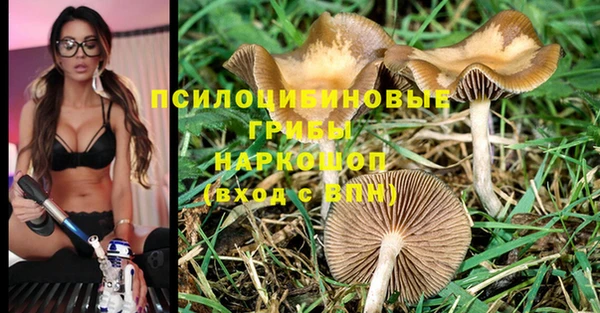 a pvp Михайловск